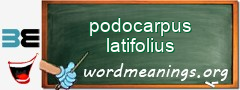 WordMeaning blackboard for podocarpus latifolius